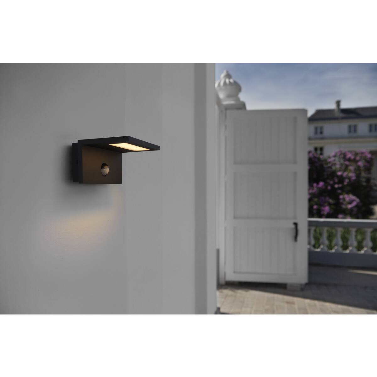ANGOLUX SENSOR WL