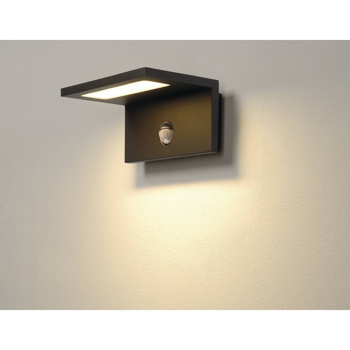 ANGOLUX SENSOR WL