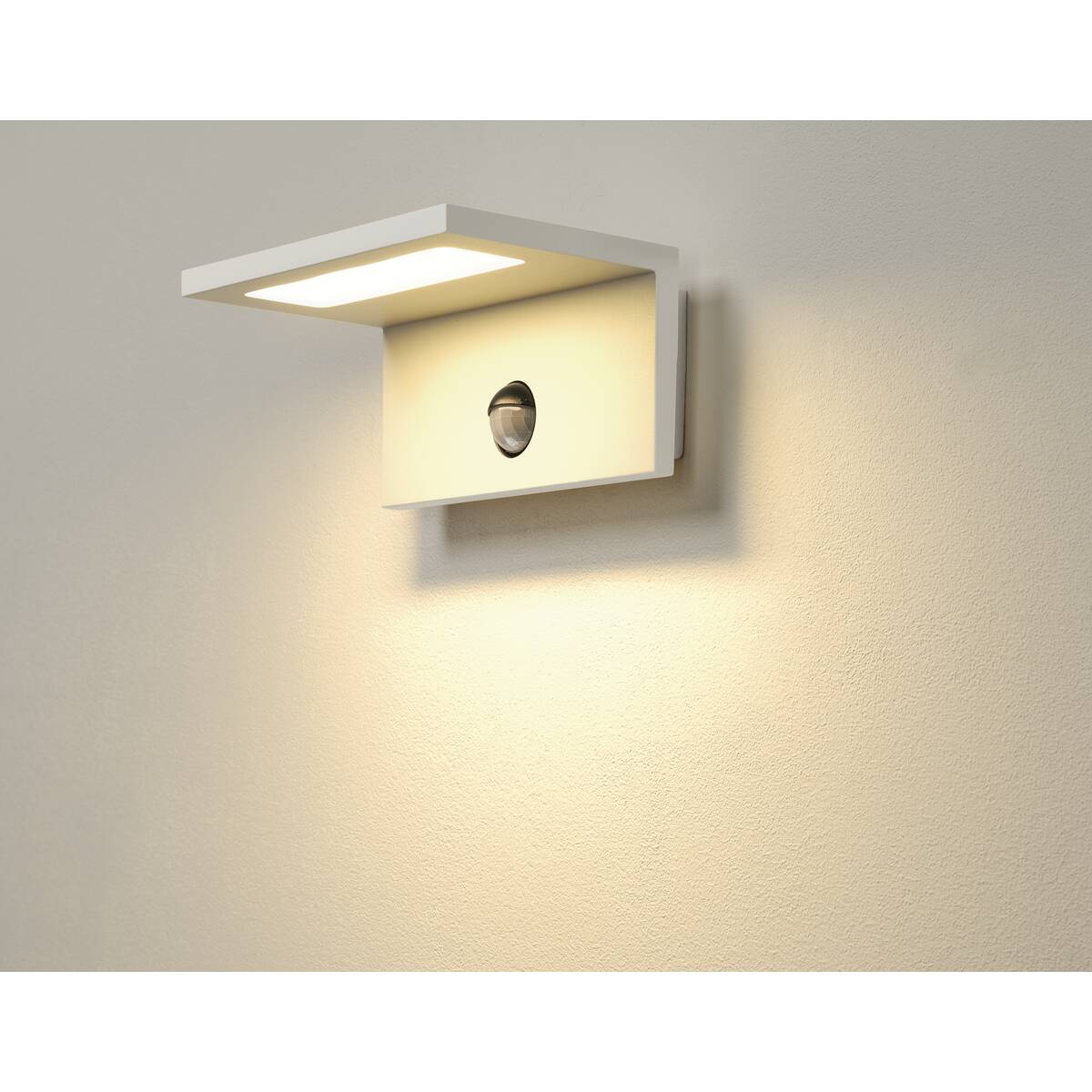 ANGOLUX SENSOR WL